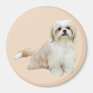 Magnet Shih Tzu