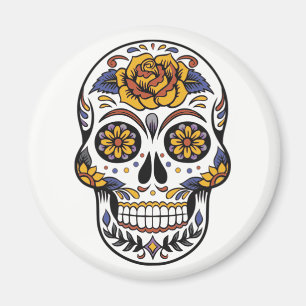 Magnet. Skelett. Magnet