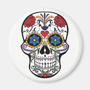 Magnet. Skelett Magnet