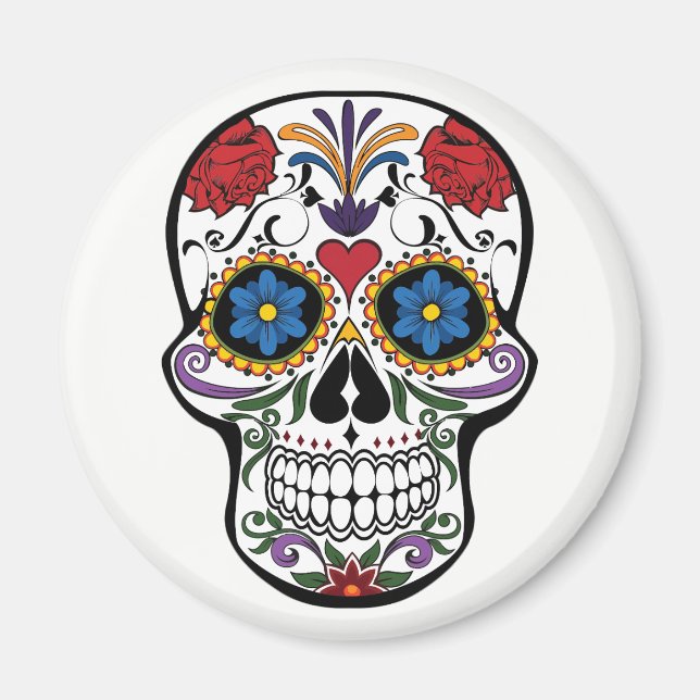 Magnet. Skelett. Magnet (Vorne)