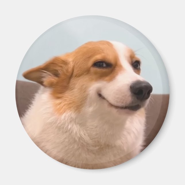 Magnet Smiling Corgi Meme (Vorne)