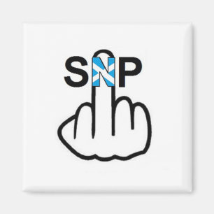 Magnet SNP Gedreht