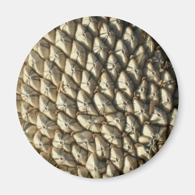 Magnet - Sonnenblumensaat (Vorne)