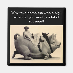 Magnet - Spaß Warum Zuhause das ganze Schwein - Wu