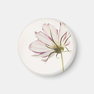 Magnet "Stand in Licht"