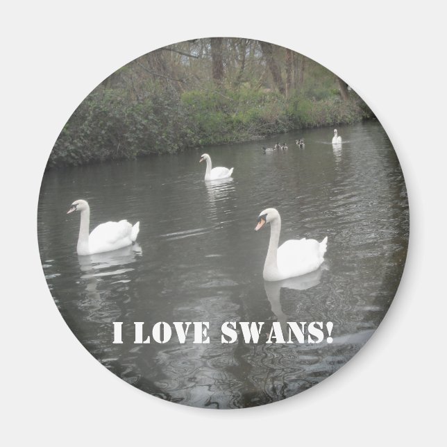 Magnet Swans Schwimmen, I Liebe Swans (Vorne)