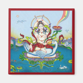 MAGNET Tara Schutz vor Giften