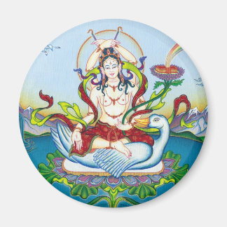 MAGNET Tara Schutz vor Giften