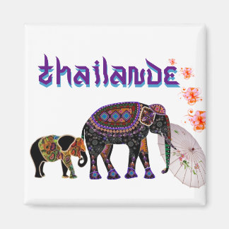 Magnet Thailand