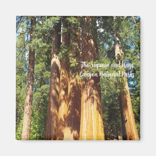 Magnet The Sequoia and Kings Canyon National Parks (Vorne)