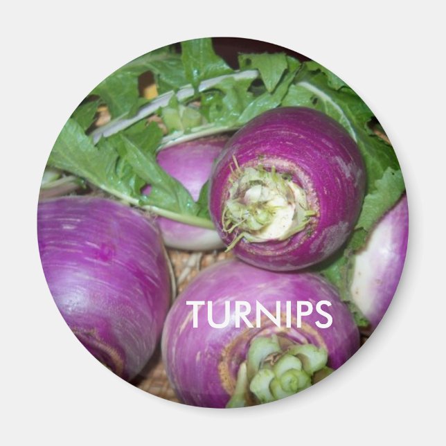 Magnet/Turnips Magnet (Vorne)