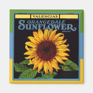 MAGNET ~ VINTAGE-Fruchtholz-Werbung Sonnenblume