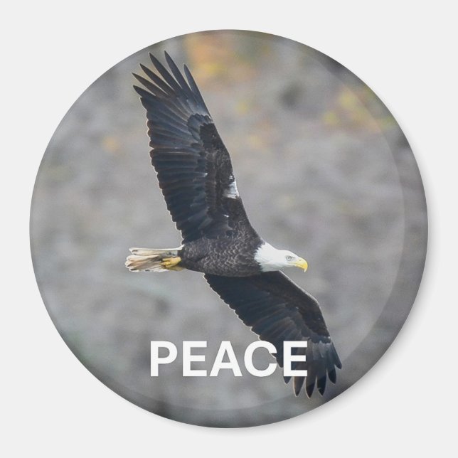 Magnet with Bald Eagle picture and the word Peace (Vorne)