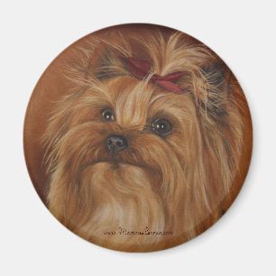 Magnet Yorkshires Terrier