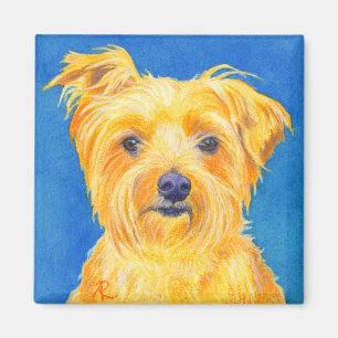 Magnet Yorkshires Terrier - "Sammy "