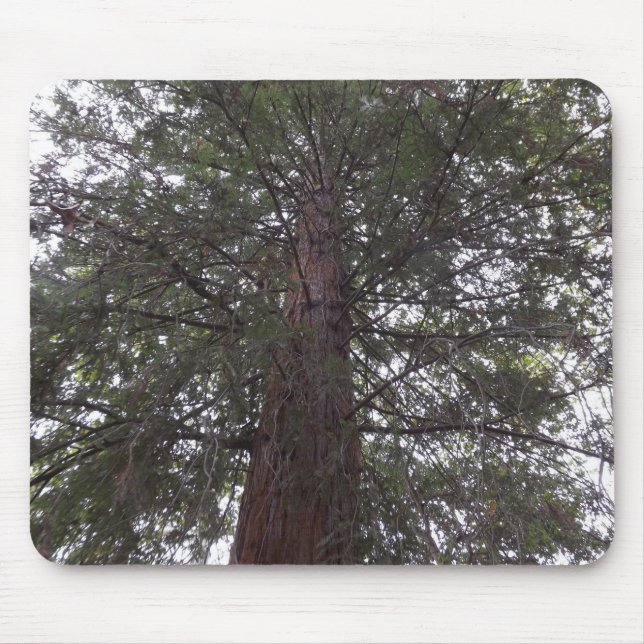 Magnetbaum Mousepad (Vorne)