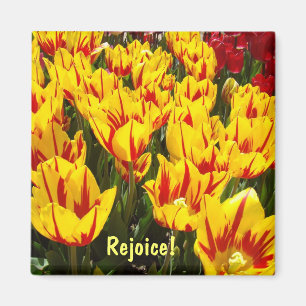 Magnete freuen Ostertulips-Blume-Magnet