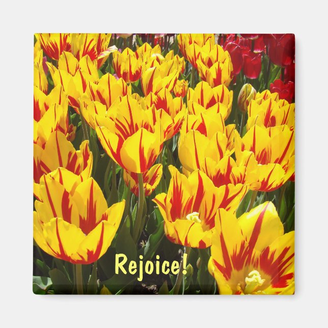 Magnete freuen Ostertulips-Blume-Magnet (Vorne)