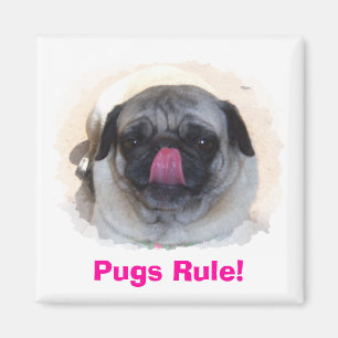 Magnete für Personalisiertes Foto