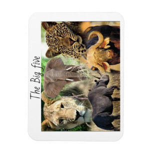 Magnete kenya große fünf