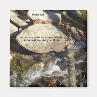 Magnete: Stream Psalm Magnet