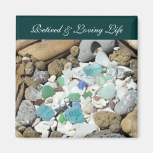 Magnete von Life Ocean Beach Seashell