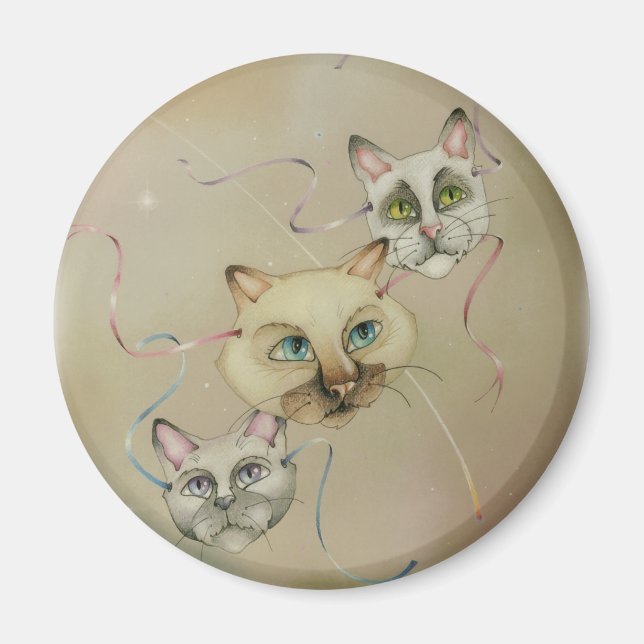 Magnete - Was ist das? (Vorne)