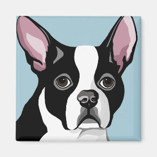Magneten Bostons Terrier Magnet