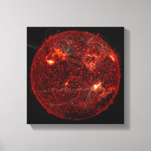 Magnetfeldlinien auf dem Sun 3 Leinwanddruck