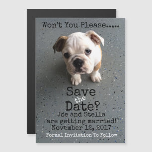 magnetisch magneteinladung