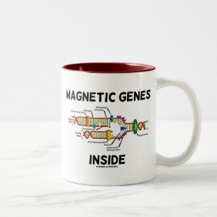Magnetische Gene im Inneren (DNA-Replikation) Zweifarbige Tasse