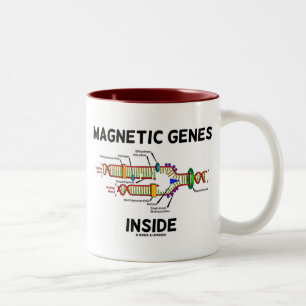 Magnetisches Gen-Innere (DNS-Reproduktion) Zweifarbige Tasse