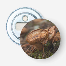 Magnetisierter, PhotoFlaschenöffner Pilze Flaschenöffner