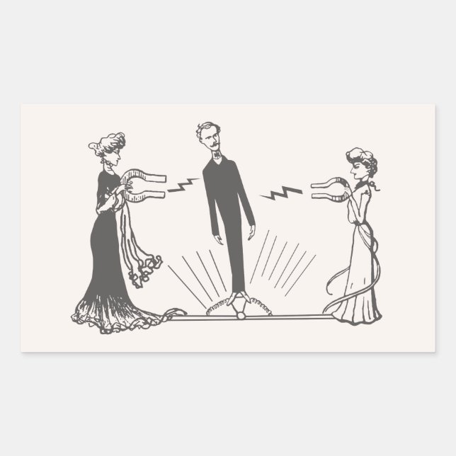 Magnetismus bei Tieren Rechteckiger Aufkleber (Vorderseite)