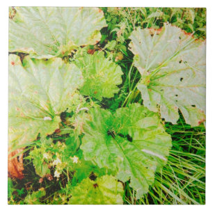 Magnetkarte Fliese