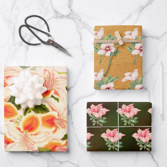 Magnificent azalea, Blumenorange Geschenkpapier Set (Vorderseite)