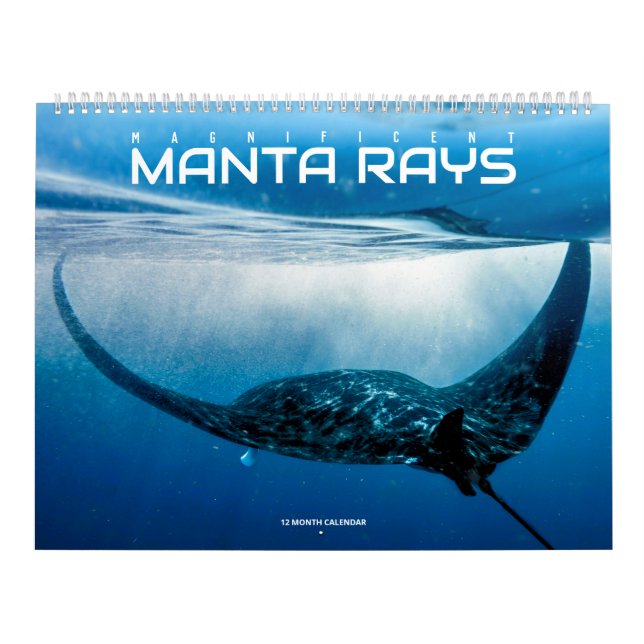 Magnificent Manta Rays Kalender (Titelbild)