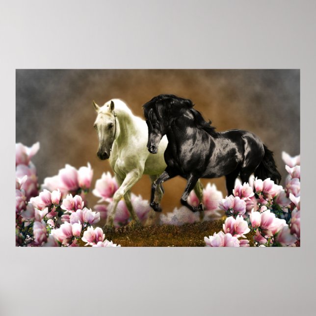 Magnolia Alley - Poster (Vorne)