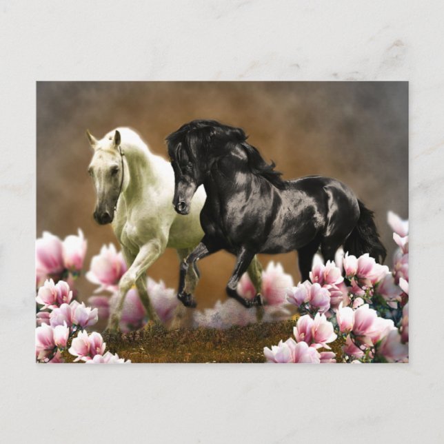 Magnolia Alley - Postkarte (Vorderseite)
