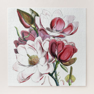Magnolia Asiatische Blume Vintag Alte Illustration Puzzle