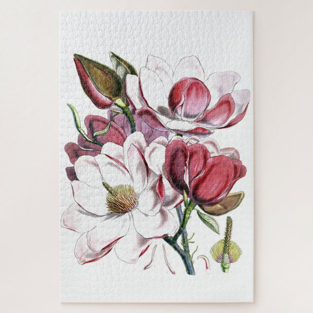 Magnolia Asiatische Blume Vintag Alte Illustration Puzzle (Vertikal)