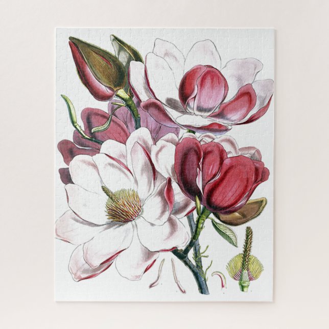 Magnolia Asiatische Blume Vintag Alte Illustration Puzzle (Vertikal)