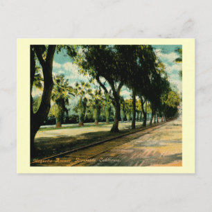 Magnolia Ave., Riverside, Kalifornien Vintage Postkarte