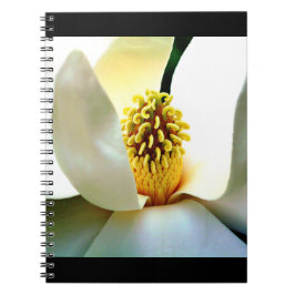 Magnolia Bloom Macro Notizblock