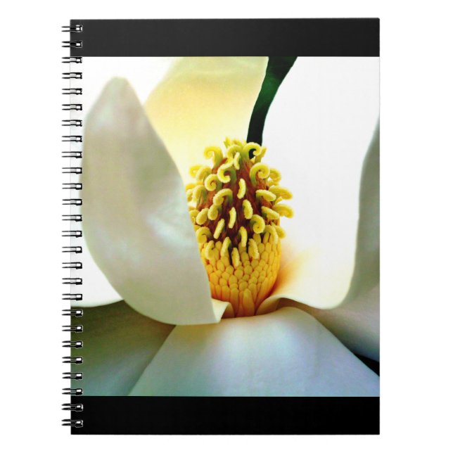 Magnolia Bloom Macro Notizblock (Vorderseite)