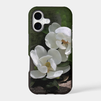 Magnolia Blooms iPhone5 Fall