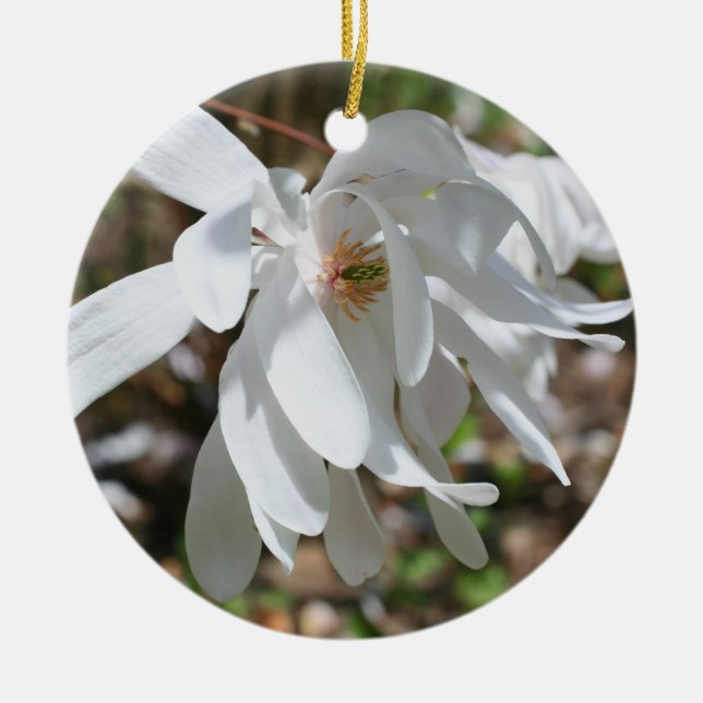 Magnolia Blossom Blume Ornament Obelisk (Vorne)