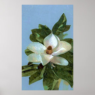 Magnolia Blossom Blume Poster Print