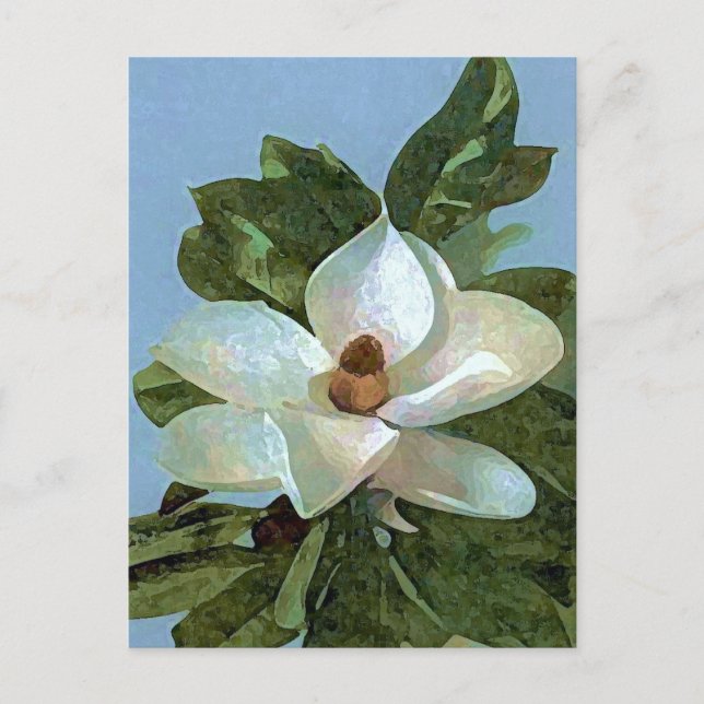 Magnolia Blossom Blume Postkarte (Vorderseite)