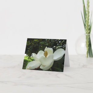 Magnolia Blossom Note Card Karte